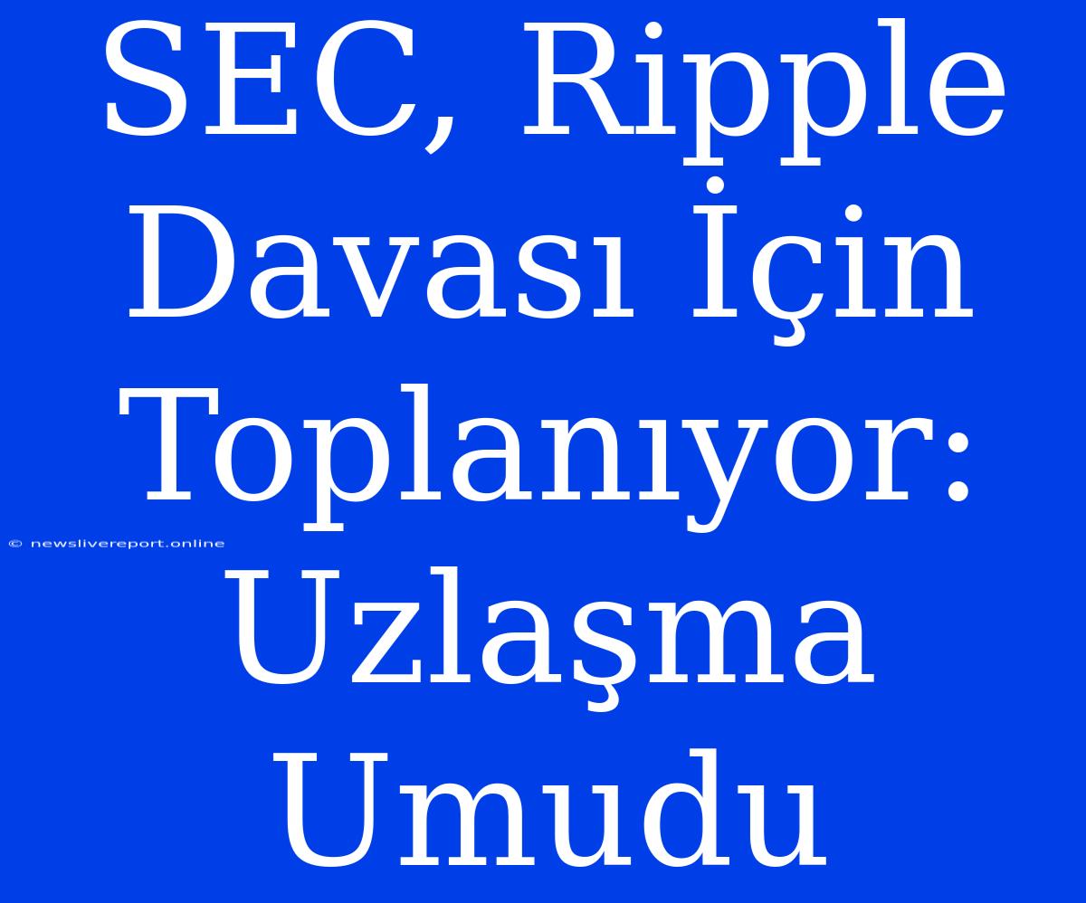 SEC, Ripple Davası İçin Toplanıyor: Uzlaşma Umudu