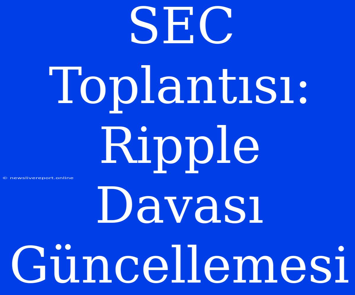 SEC Toplantısı: Ripple Davası Güncellemesi