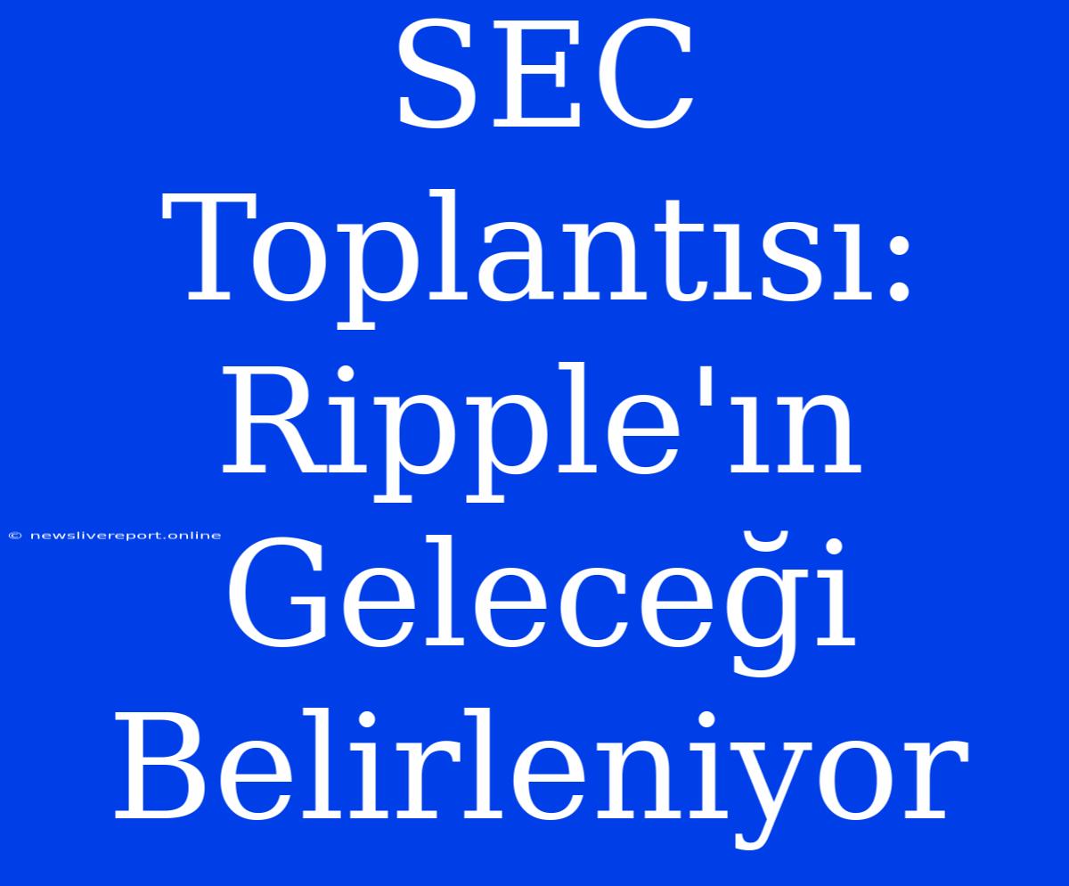 SEC Toplantısı: Ripple'ın Geleceği Belirleniyor