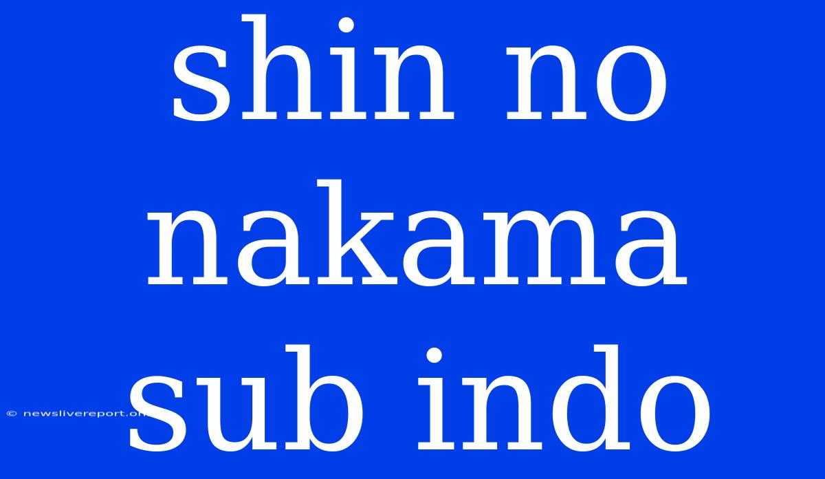 Shin No Nakama Sub Indo