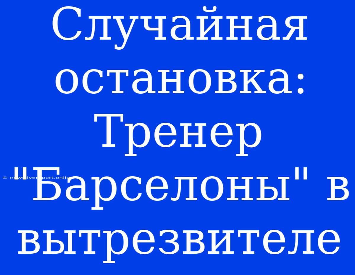 Случайная Остановка: Тренер 