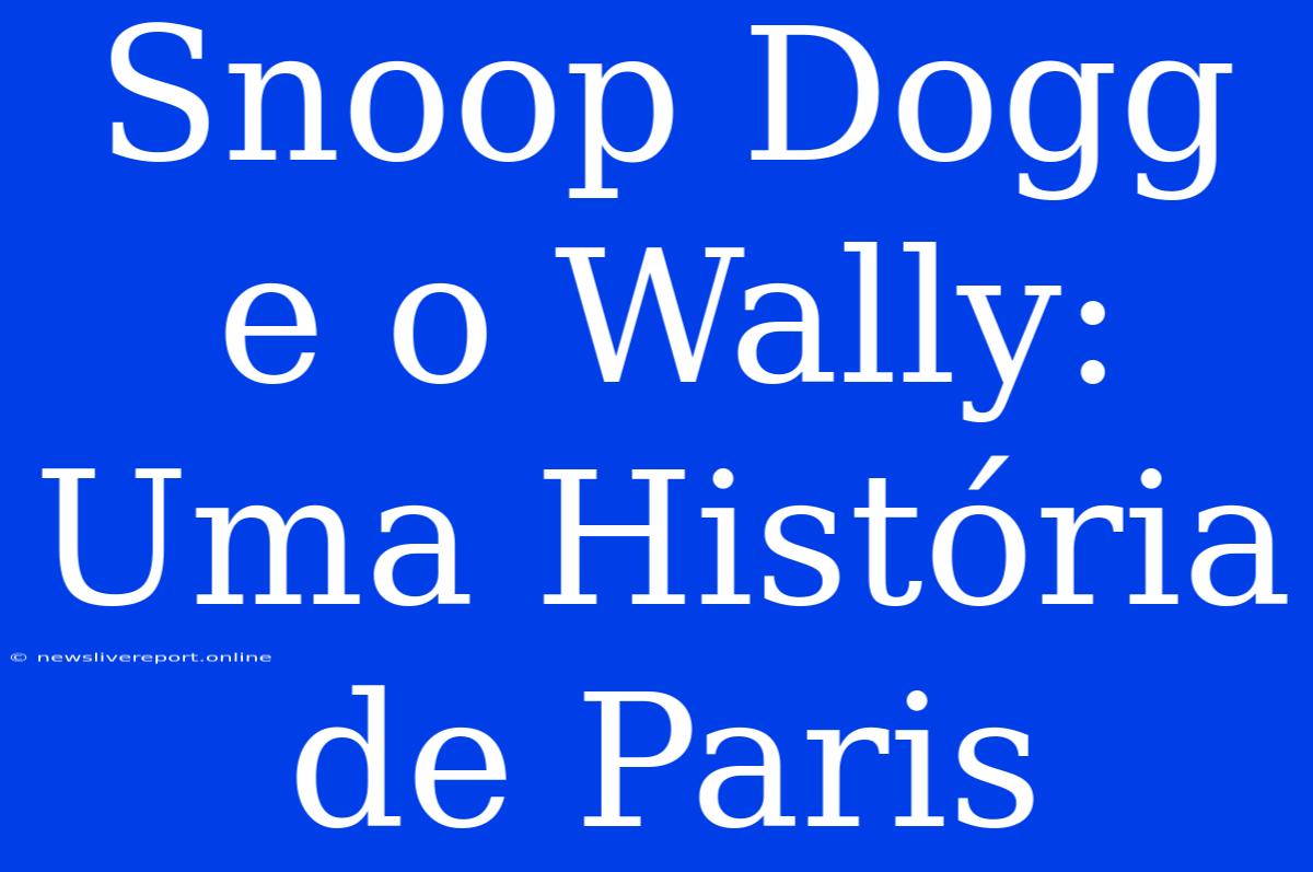 Snoop Dogg E O Wally: Uma História De Paris