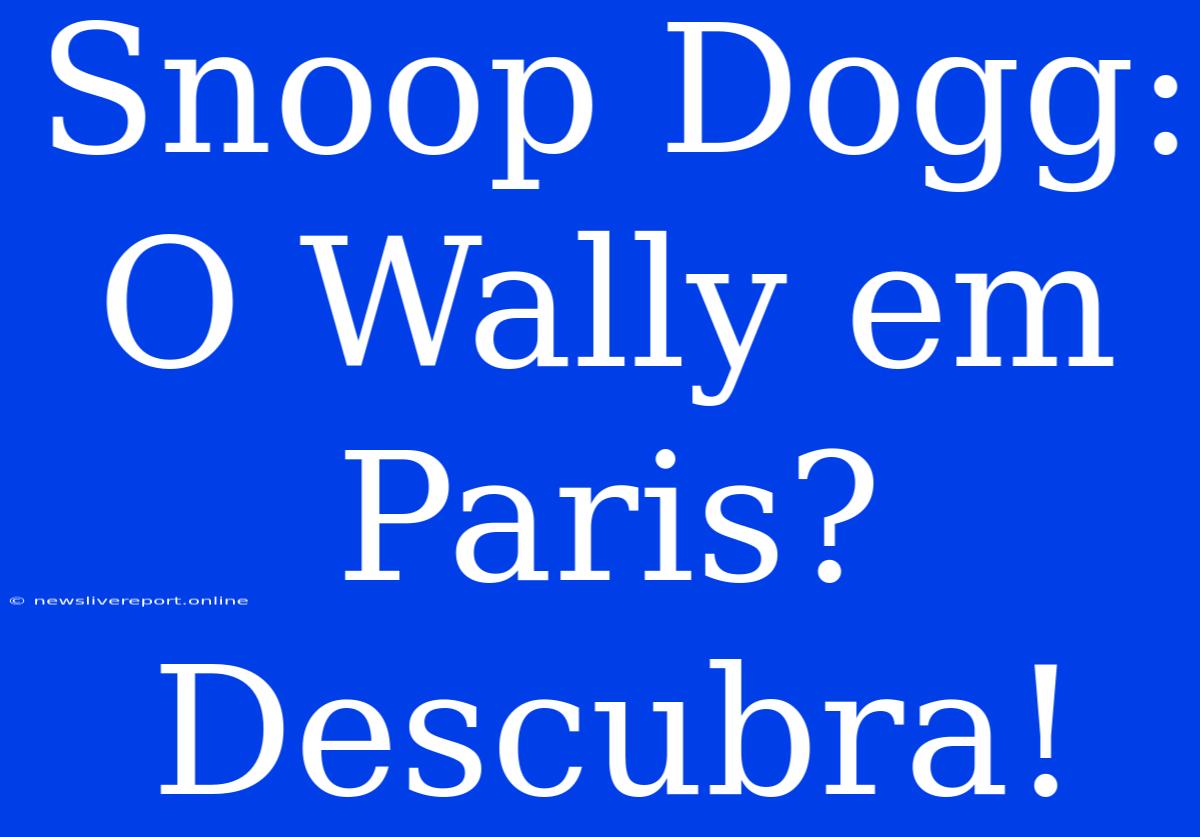 Snoop Dogg: O Wally Em Paris? Descubra!