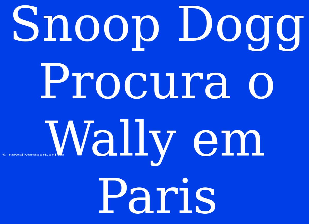 Snoop Dogg Procura O Wally Em Paris