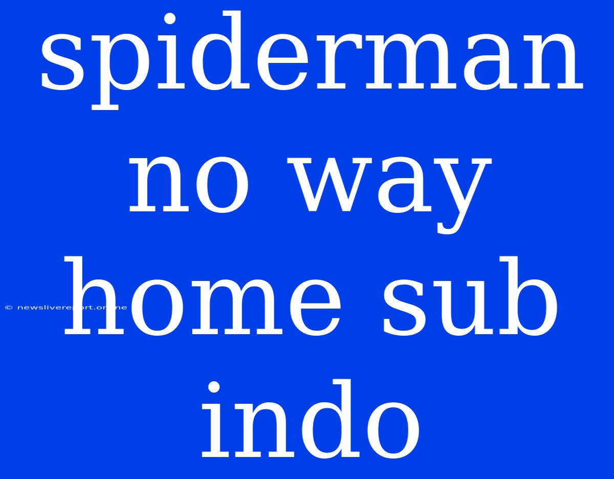 Spiderman No Way Home Sub Indo