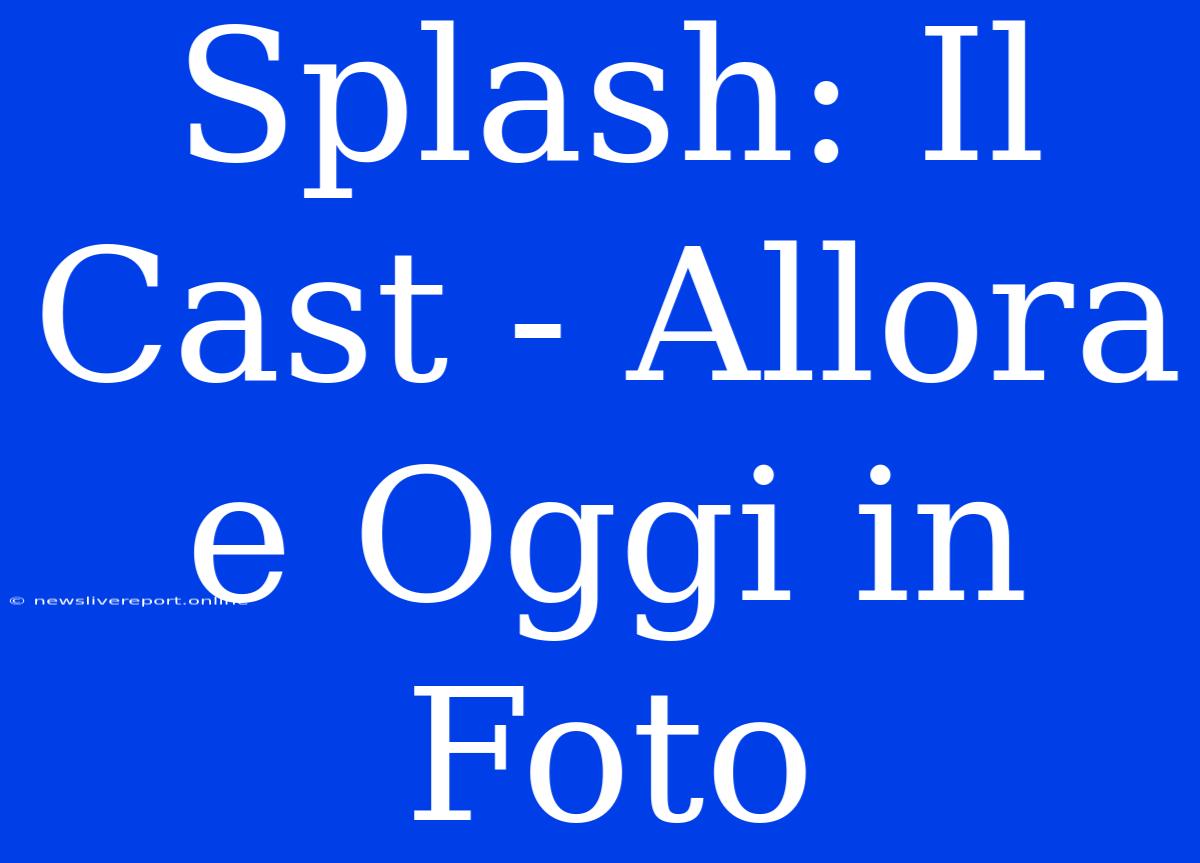 Splash: Il Cast - Allora E Oggi In Foto