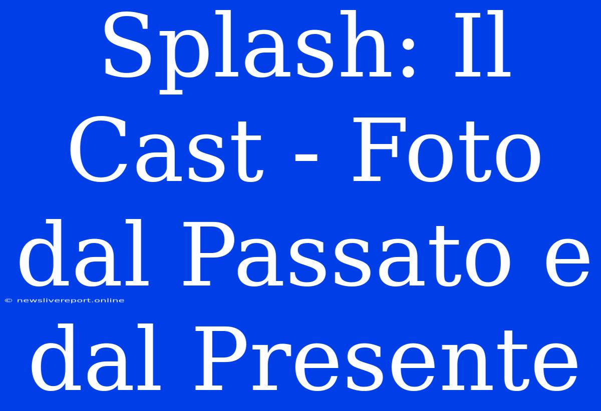 Splash: Il Cast - Foto Dal Passato E Dal Presente