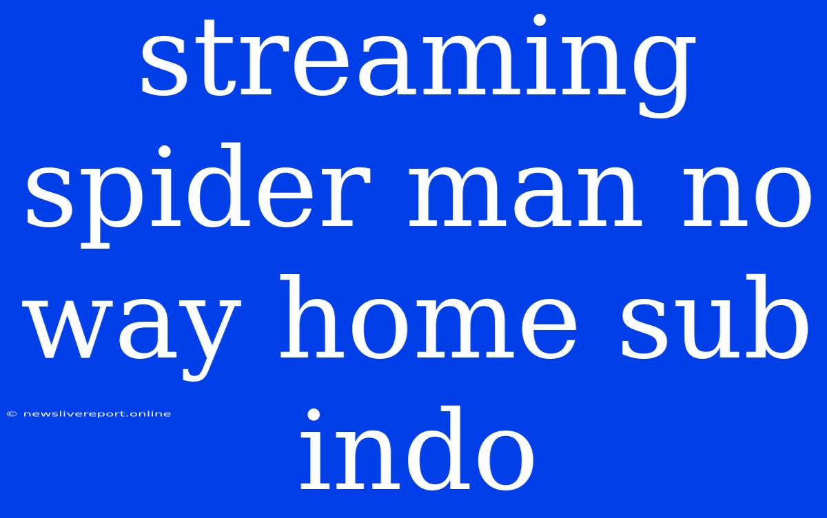 Streaming Spider Man No Way Home Sub Indo