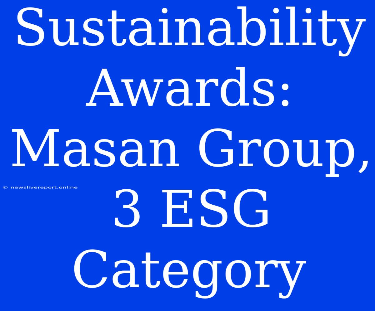 Sustainability Awards: Masan Group, 3 ESG Category