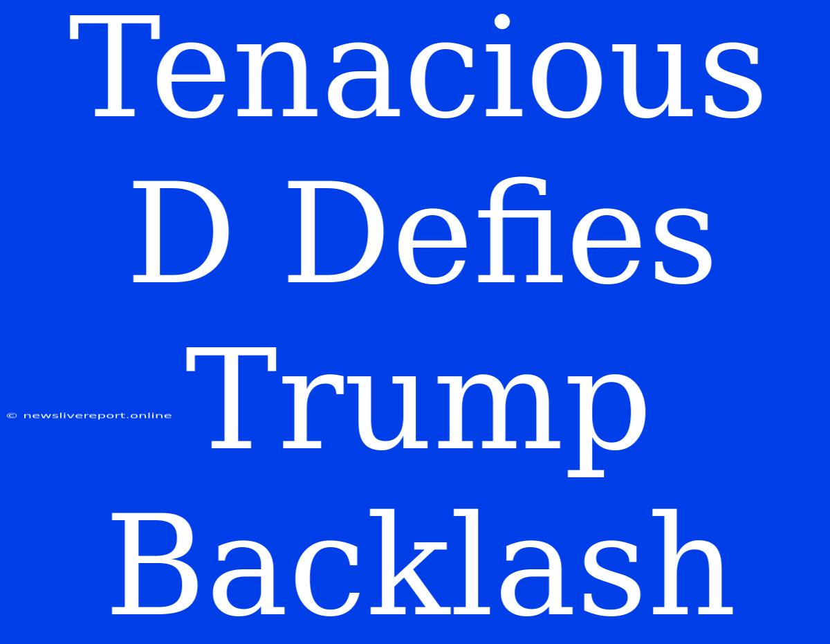 Tenacious D Defies Trump Backlash