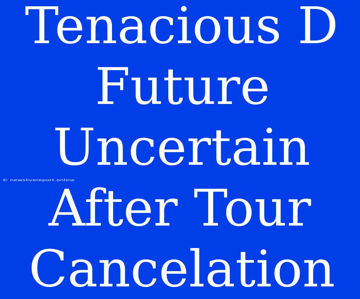 Tenacious D Future Uncertain After Tour Cancelation