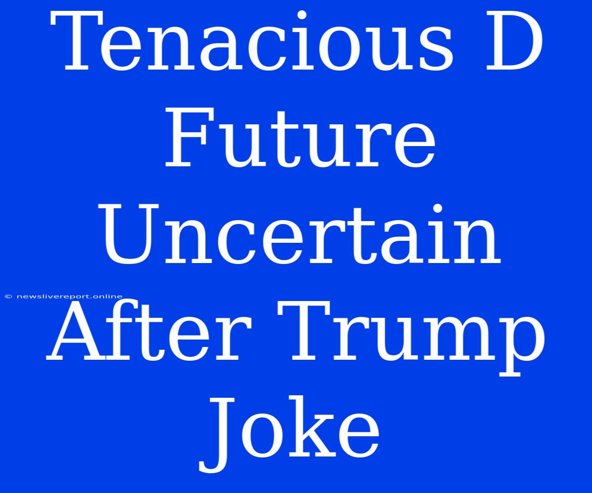 Tenacious D Future Uncertain After Trump Joke