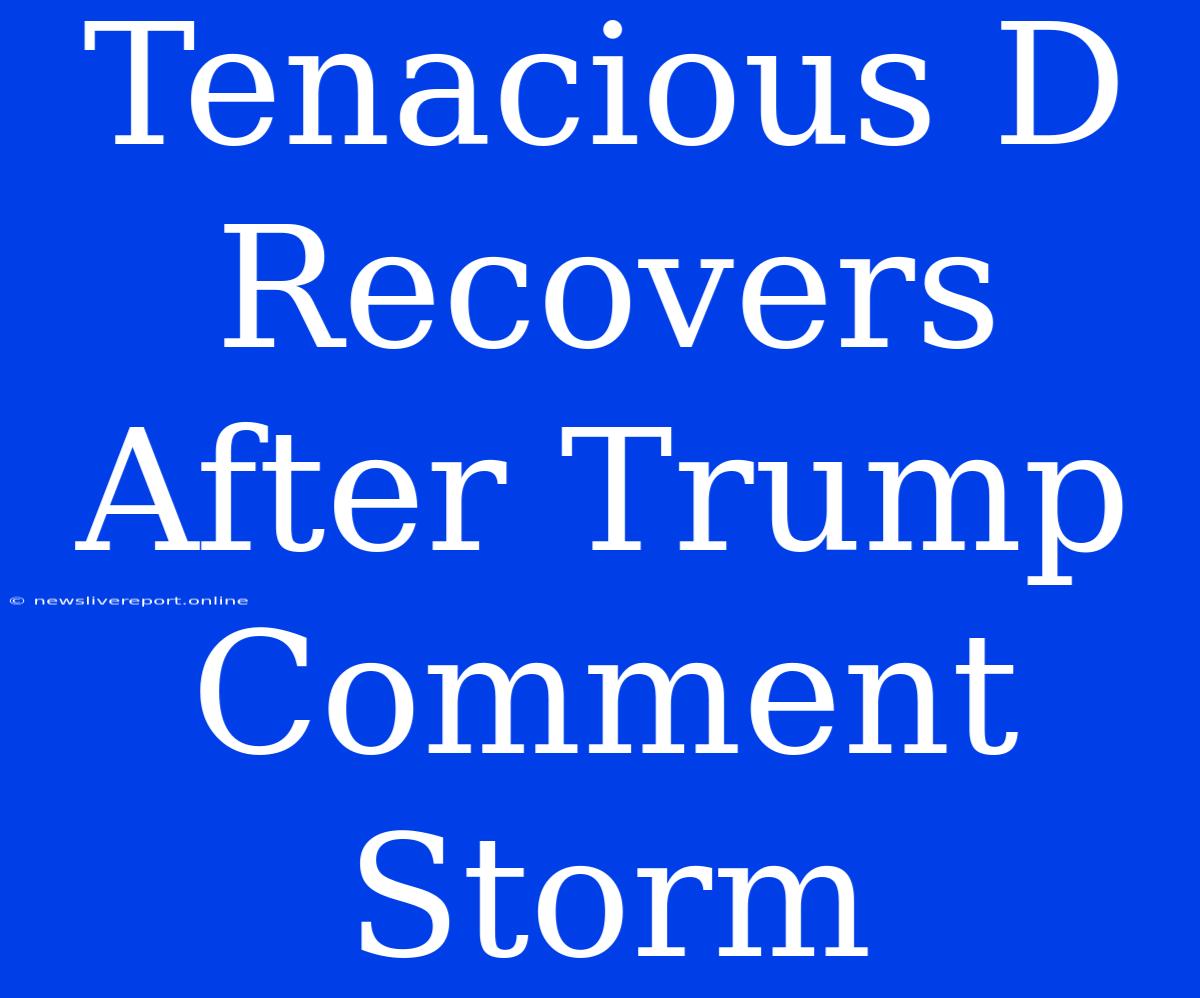 Tenacious D Recovers After Trump Comment Storm