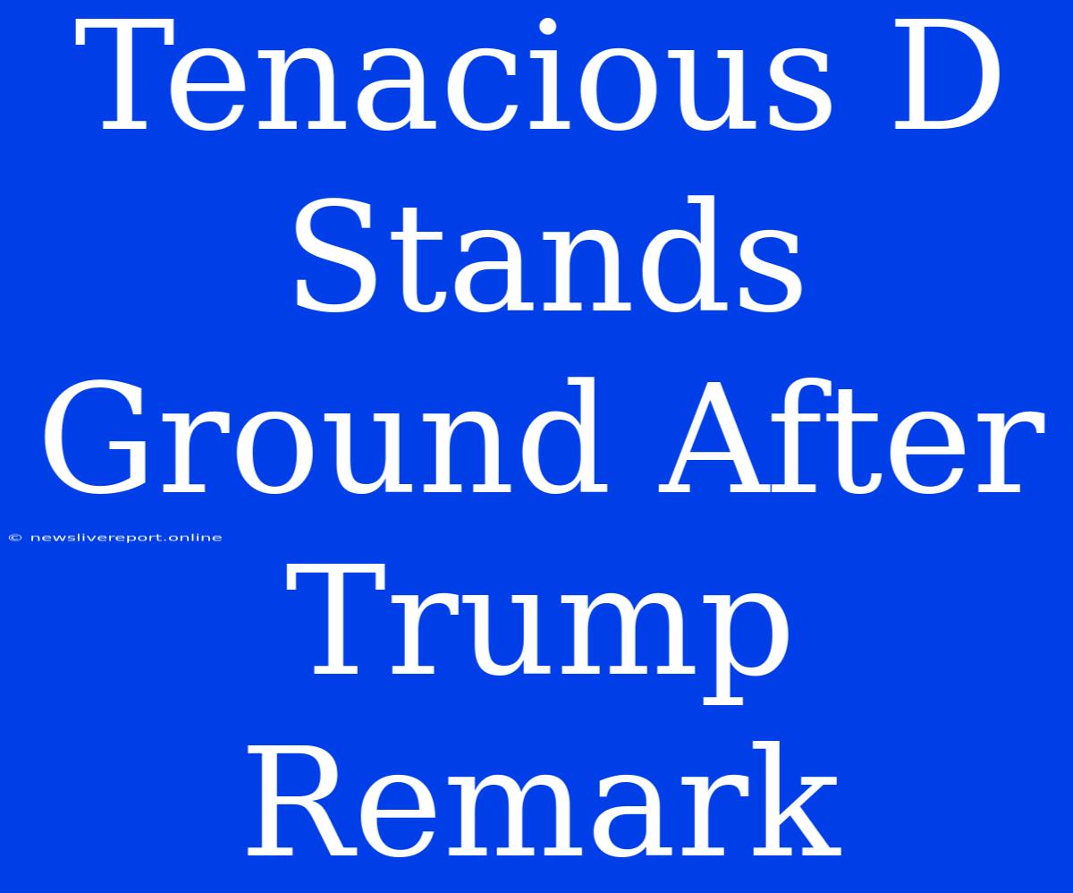 Tenacious D Stands Ground After Trump Remark