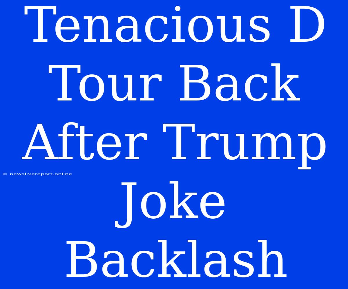 Tenacious D Tour Back After Trump Joke Backlash