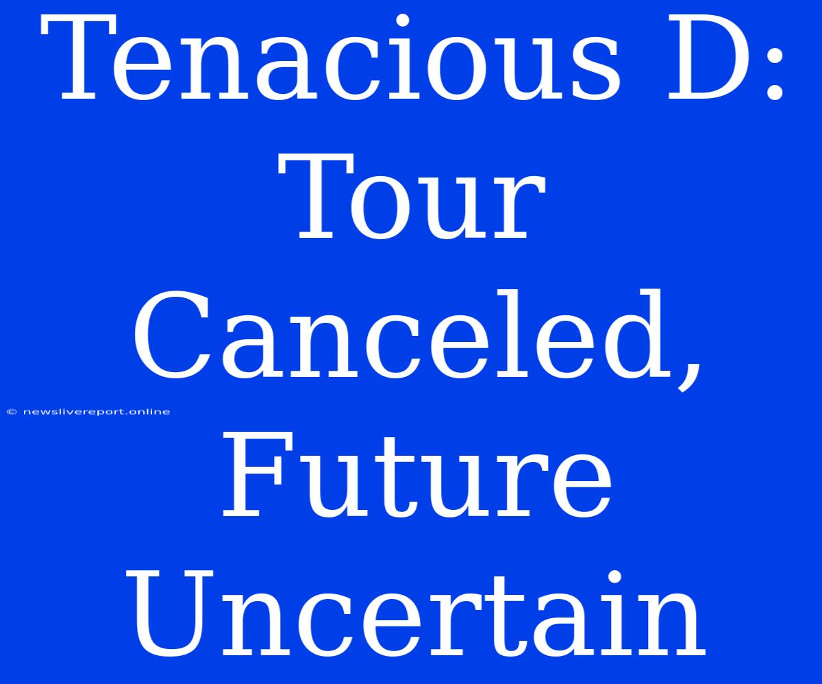 Tenacious D: Tour Canceled, Future Uncertain