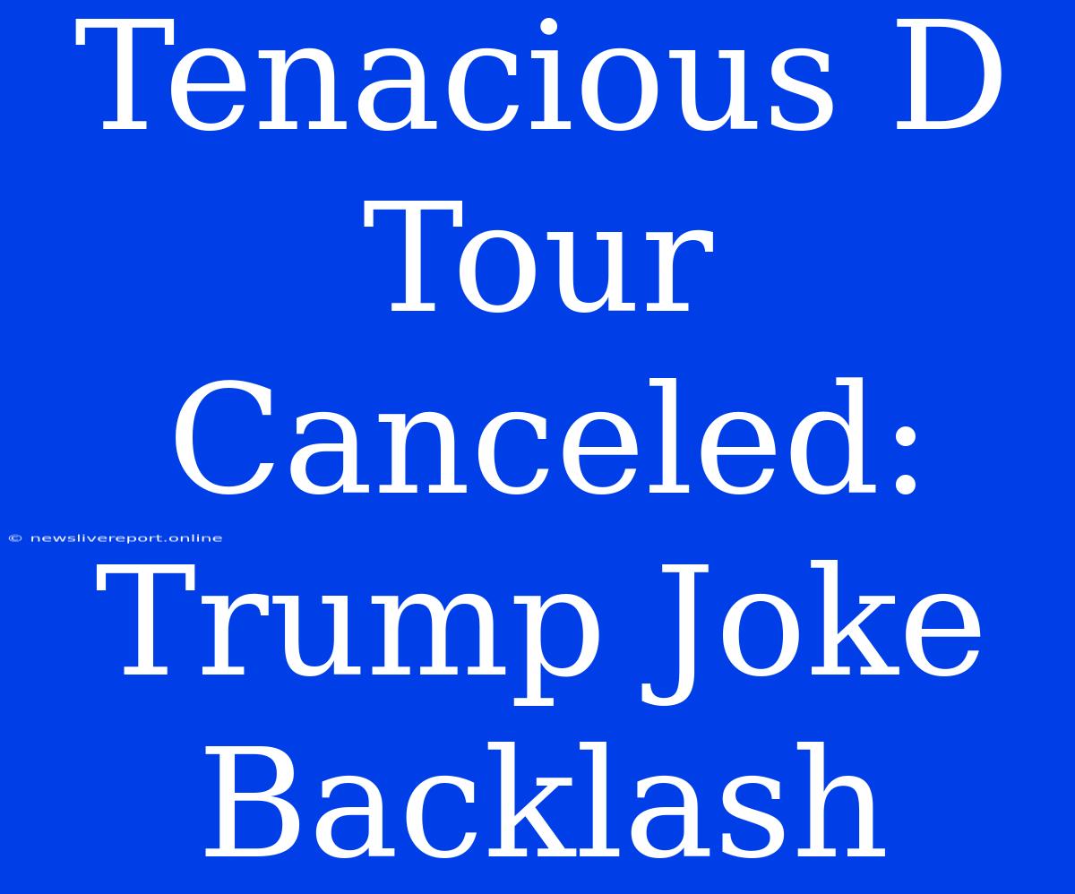 Tenacious D Tour Canceled: Trump Joke Backlash