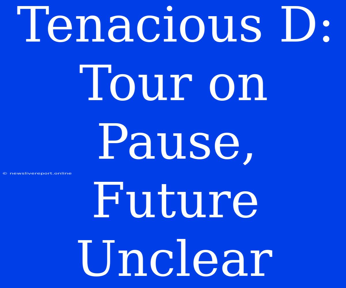 Tenacious D: Tour On Pause, Future Unclear