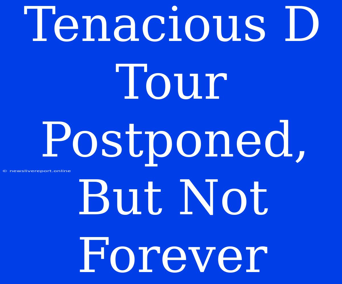 Tenacious D Tour Postponed, But Not Forever