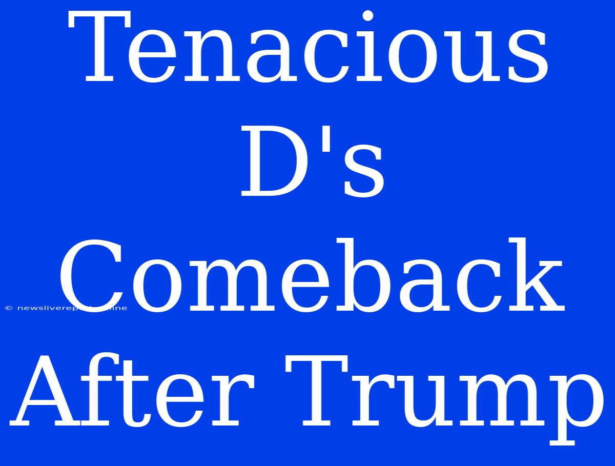 Tenacious D's Comeback After Trump