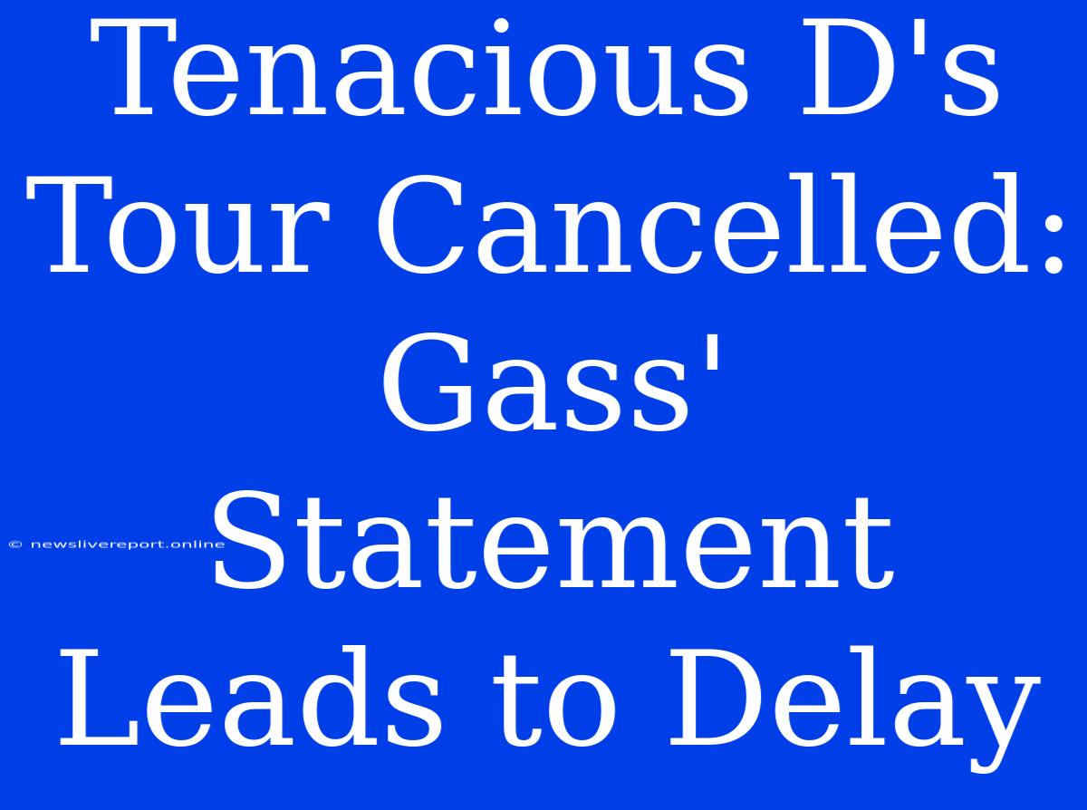 Tenacious D's Tour Cancelled: Gass' Statement Leads To Delay