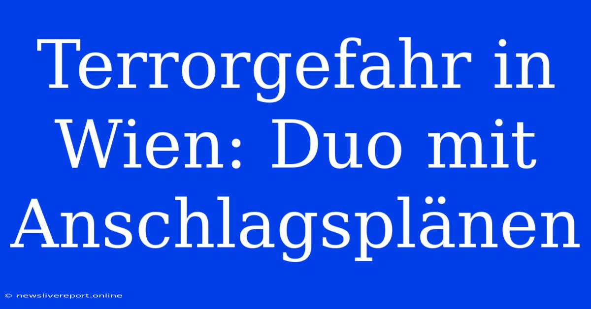 Terrorgefahr In Wien: Duo Mit Anschlagsplänen