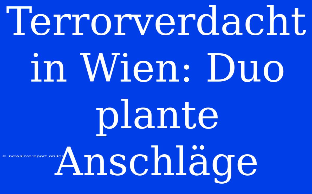 Terrorverdacht In Wien: Duo Plante Anschläge