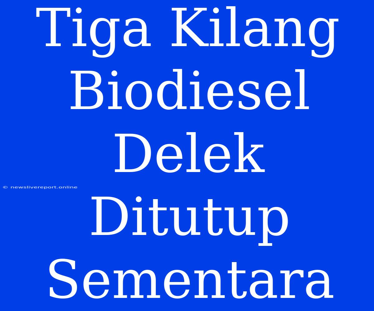 Tiga Kilang Biodiesel Delek Ditutup Sementara