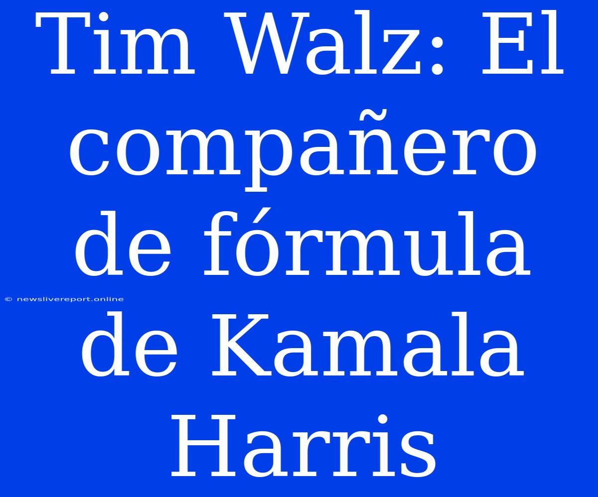 Tim Walz: El Compañero De Fórmula De Kamala Harris