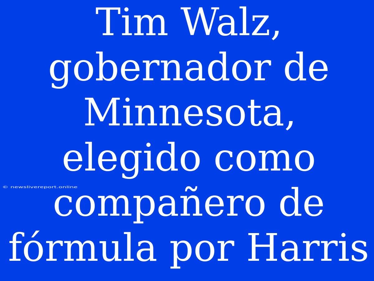 Tim Walz, Gobernador De Minnesota, Elegido Como Compañero De Fórmula Por Harris