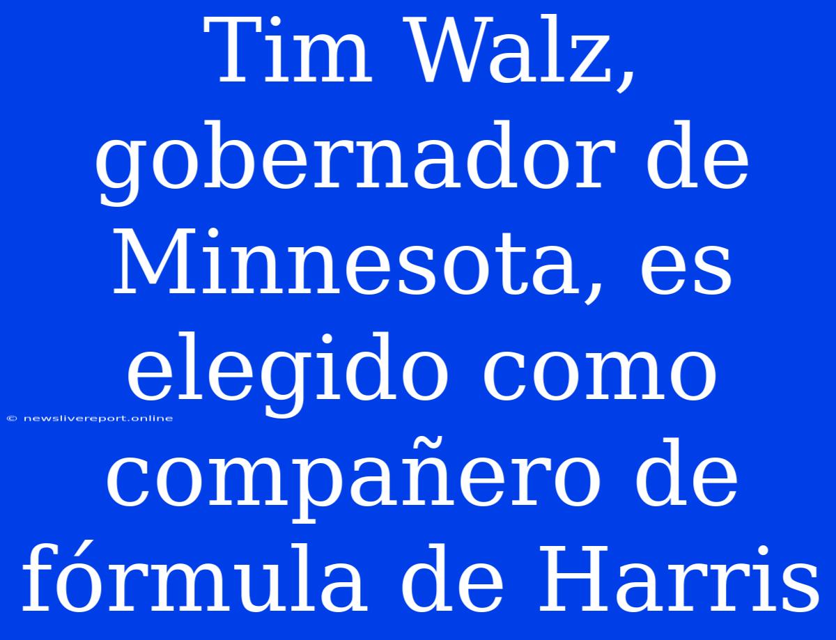 Tim Walz, Gobernador De Minnesota, Es Elegido Como Compañero De Fórmula De Harris