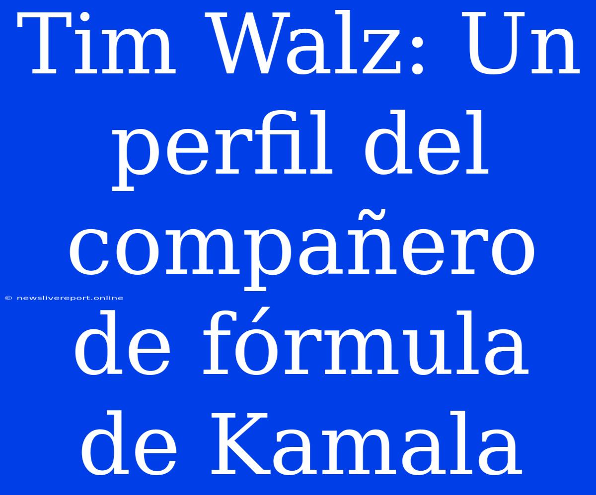 Tim Walz: Un Perfil Del Compañero De Fórmula De Kamala