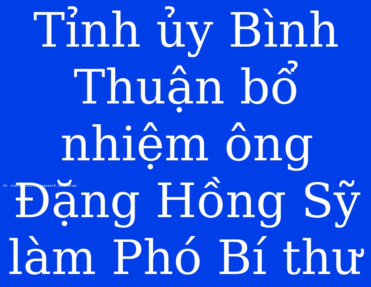 Tỉnh Ủy Bình Thuận Bổ Nhiệm Ông Đặng Hồng Sỹ Làm Phó Bí Thư