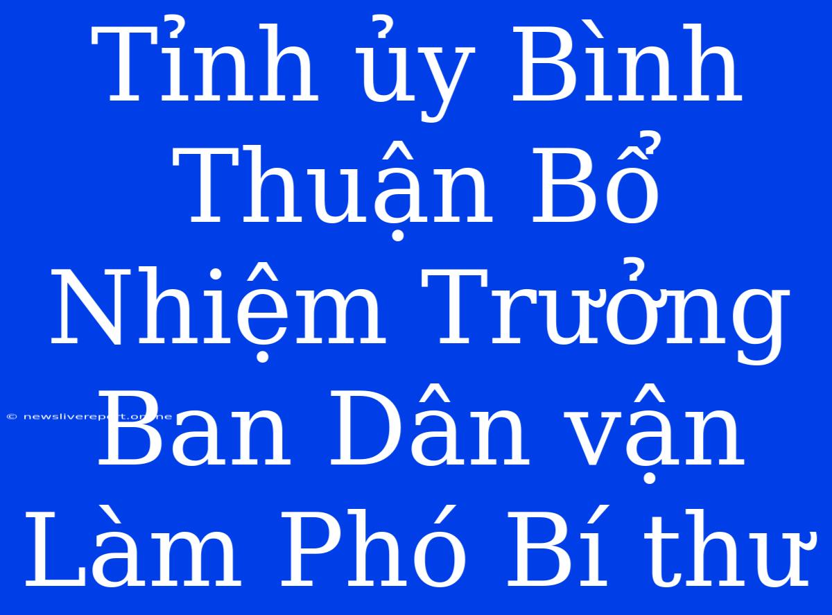 Tỉnh Ủy Bình Thuận Bổ Nhiệm Trưởng Ban Dân Vận Làm Phó Bí Thư