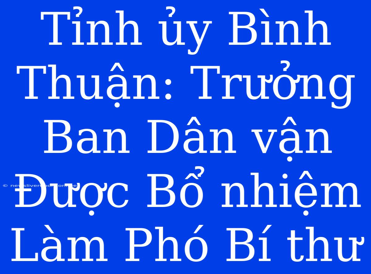 Tỉnh Ủy Bình Thuận: Trưởng Ban Dân Vận Được Bổ Nhiệm Làm Phó Bí Thư