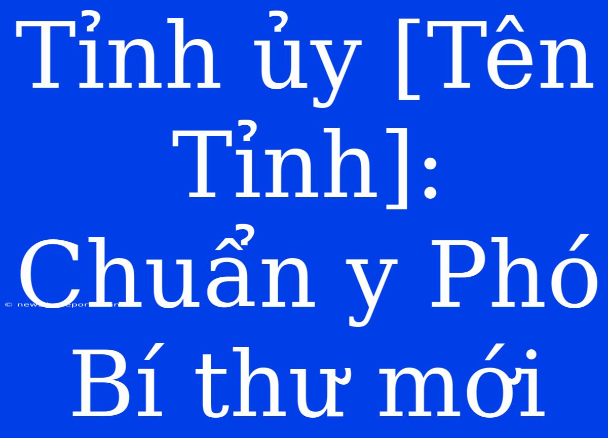 Tỉnh Ủy [Tên Tỉnh]: Chuẩn Y Phó Bí Thư Mới