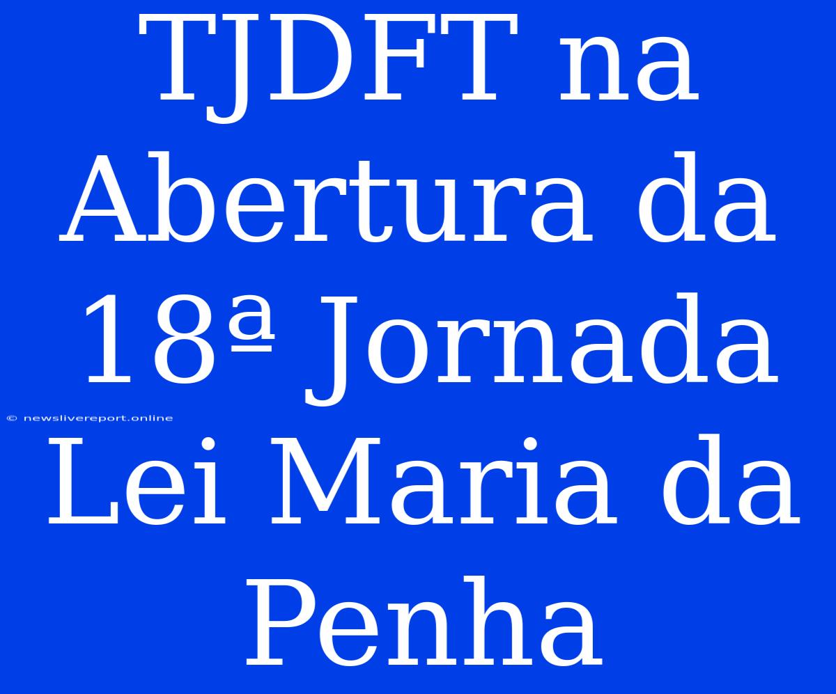 TJDFT Na Abertura Da 18ª Jornada Lei Maria Da Penha