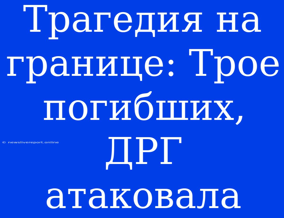 Трагедия На Границе: Трое Погибших, ДРГ Атаковала