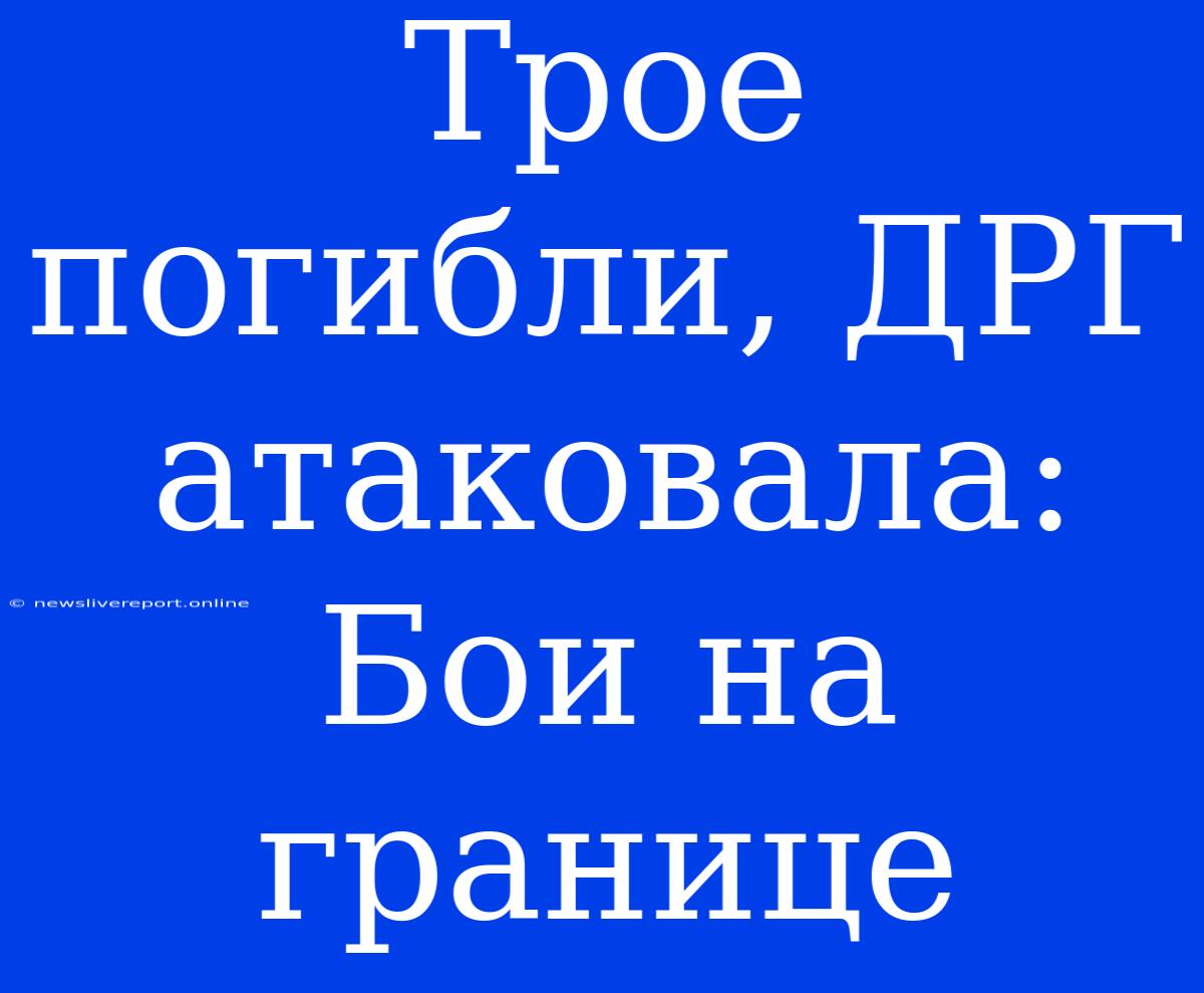 Трое Погибли, ДРГ Атаковала: Бои На Границе