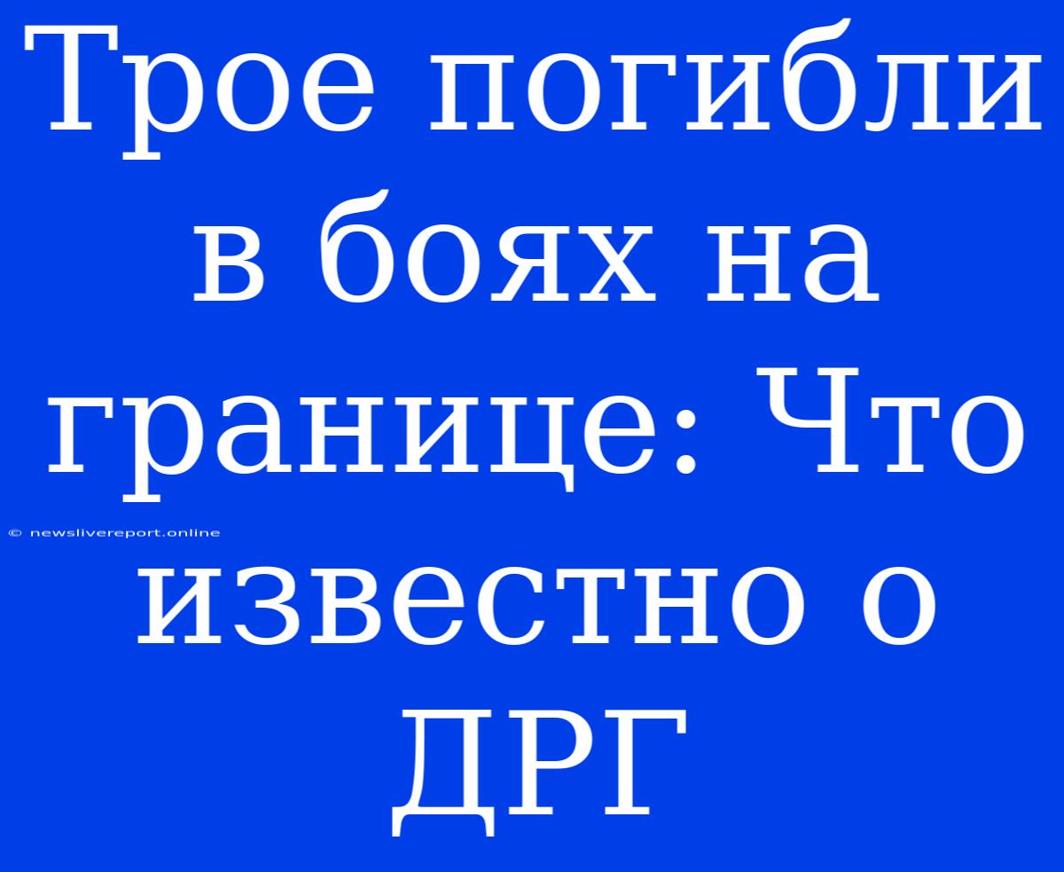 Трое Погибли В Боях На Границе: Что Известно О ДРГ