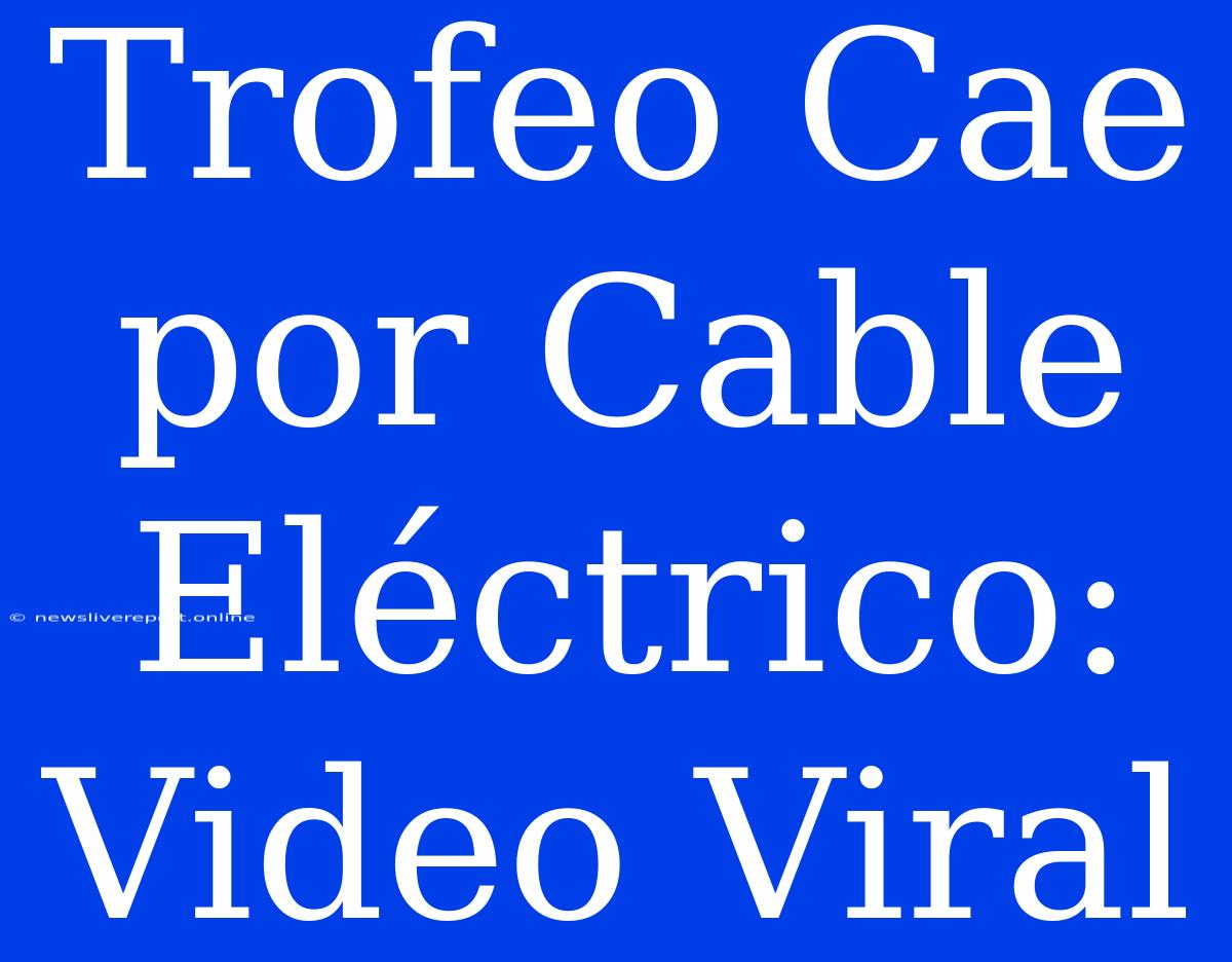 Trofeo Cae Por Cable Eléctrico: Video Viral