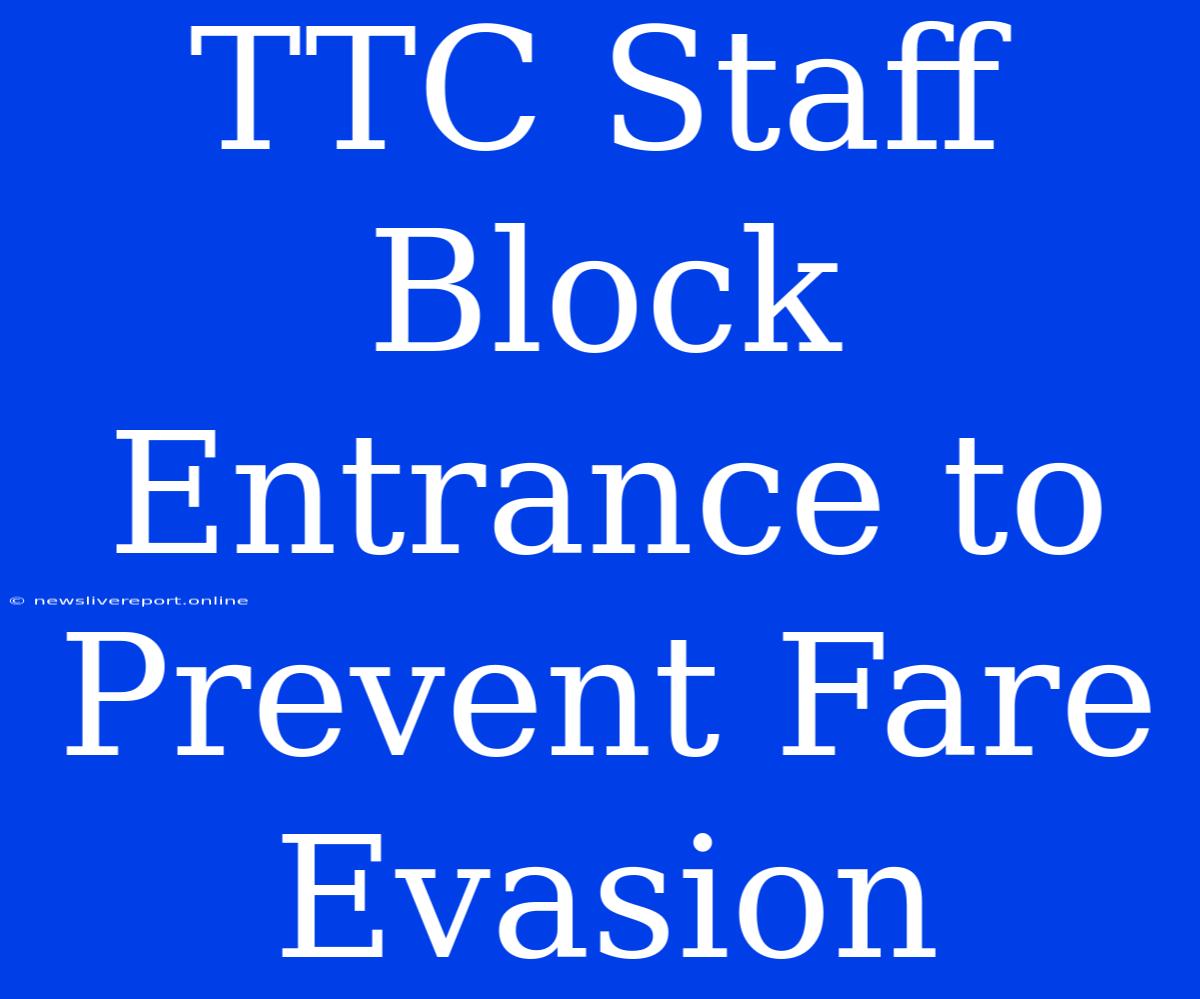 TTC Staff Block Entrance To Prevent Fare Evasion