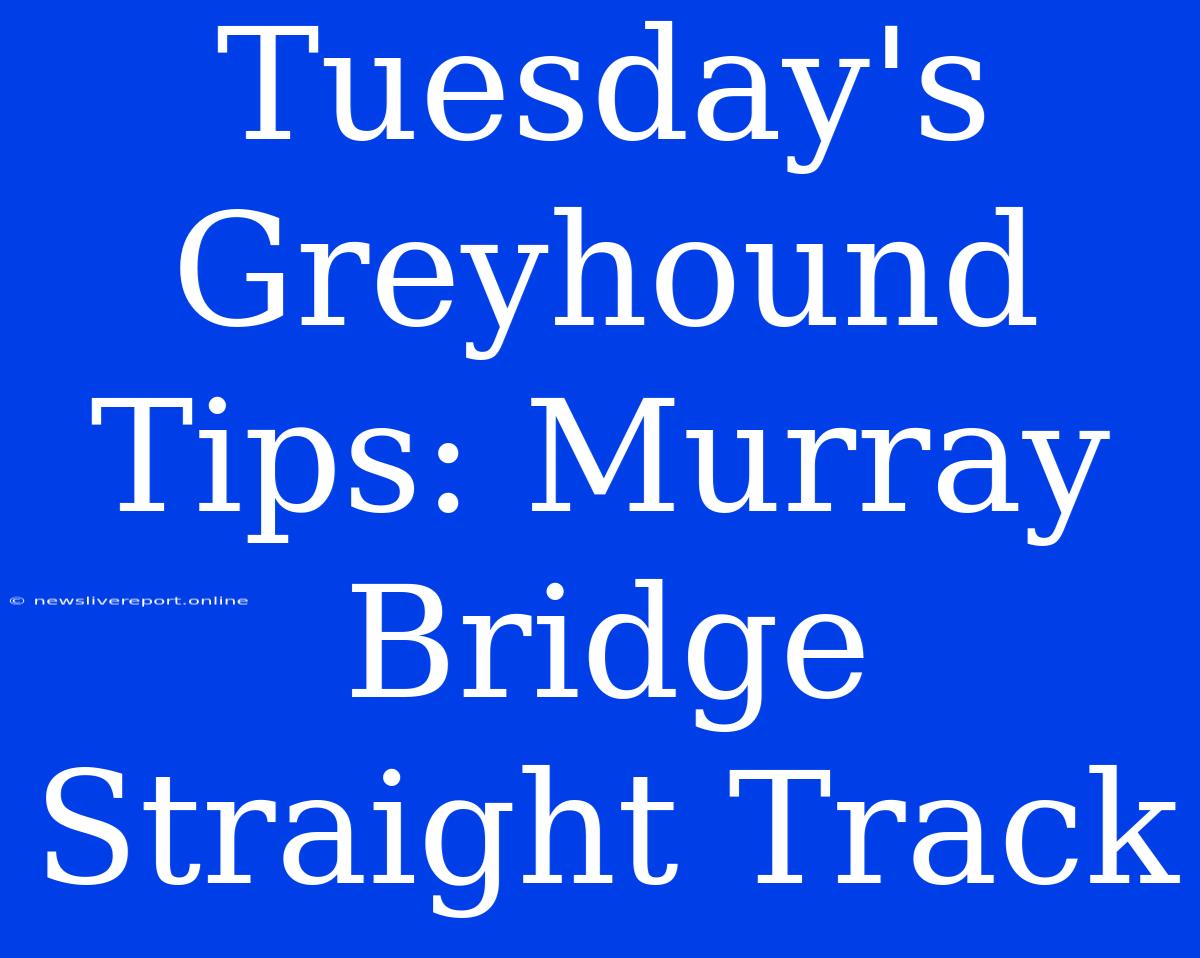 Tuesday's Greyhound Tips: Murray Bridge Straight Track