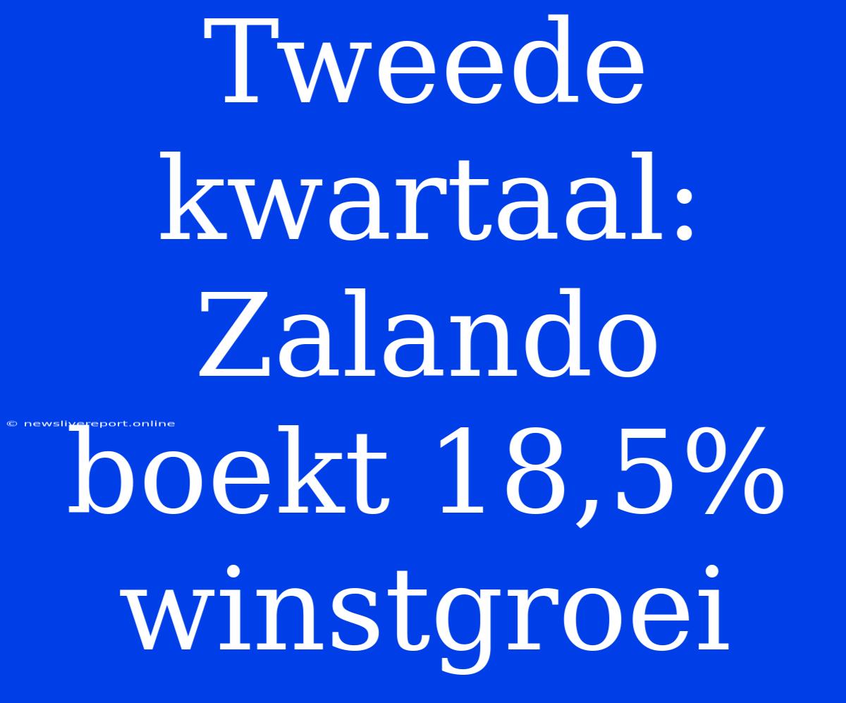 Tweede Kwartaal: Zalando Boekt 18,5% Winstgroei