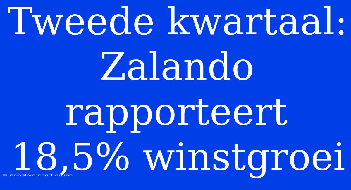 Tweede Kwartaal: Zalando Rapporteert 18,5% Winstgroei