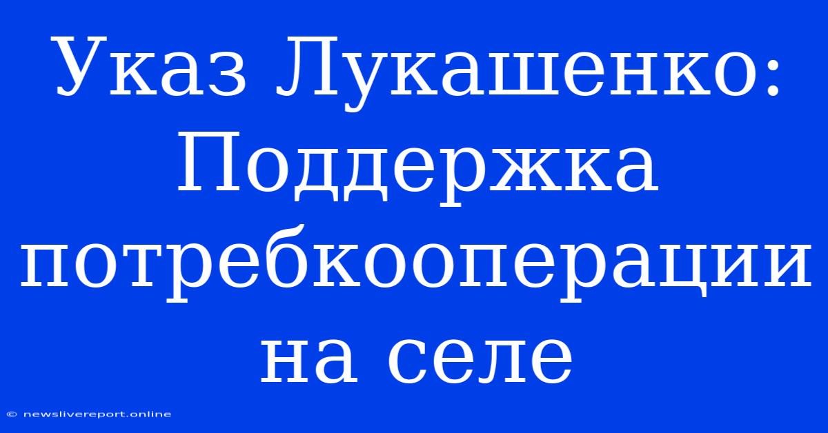 Указ Лукашенко: Поддержка Потребкооперации На Селе