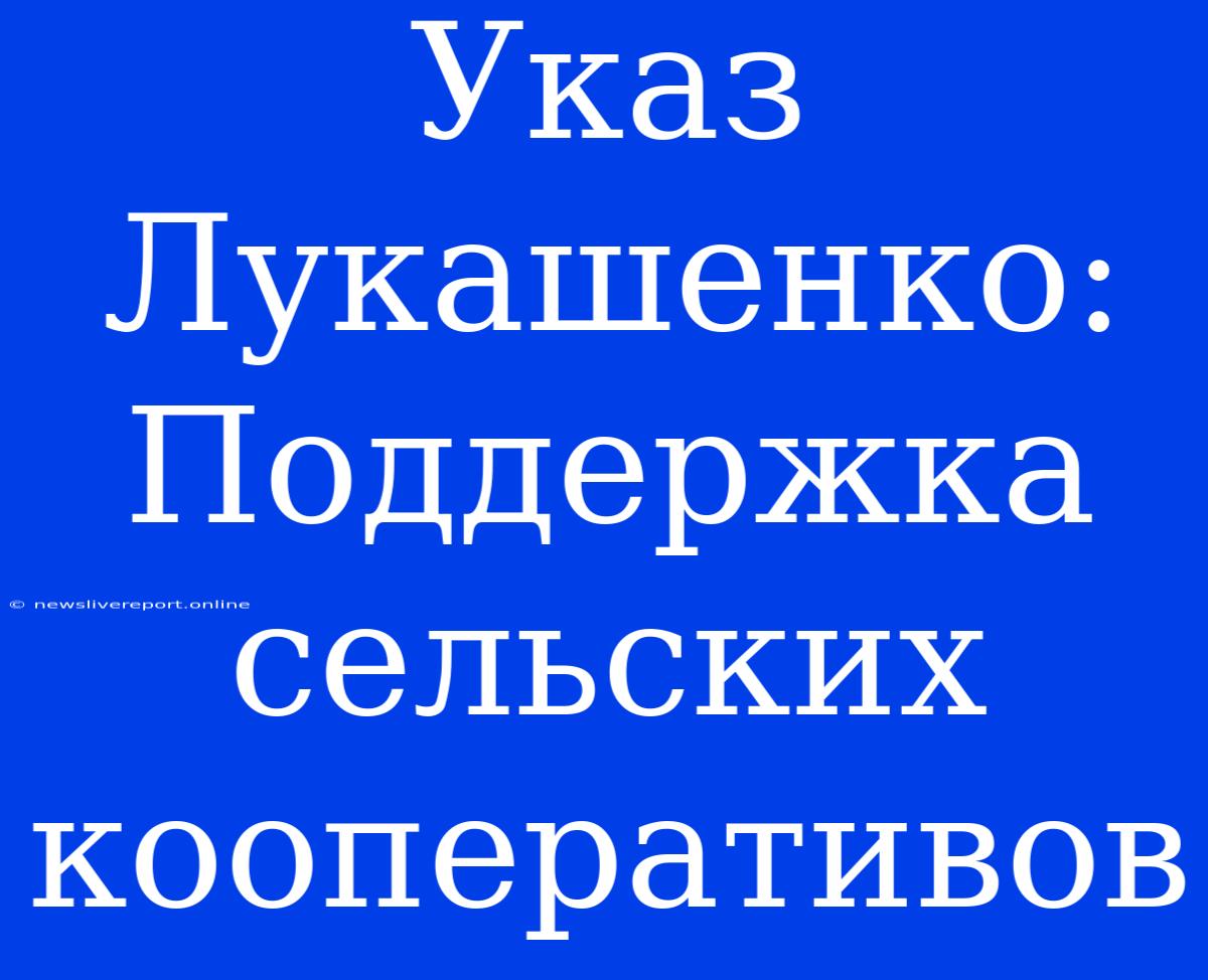 Указ Лукашенко: Поддержка Сельских Кооперативов