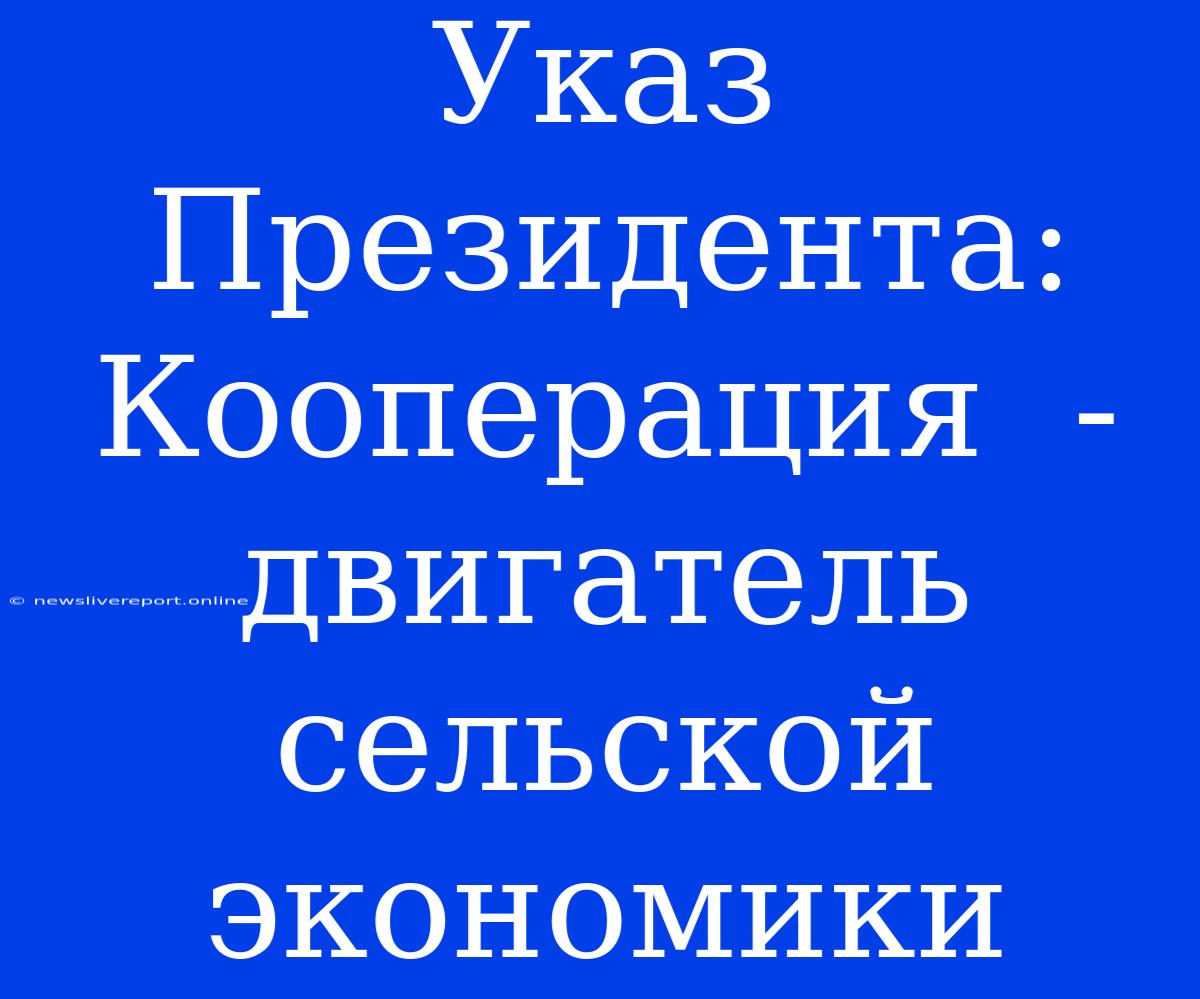 Указ Президента: Кооперация  -  Двигатель Сельской Экономики