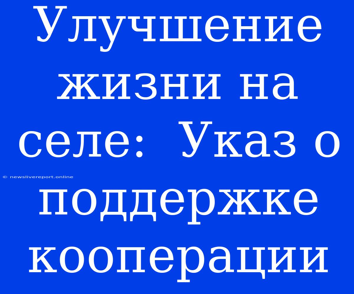 Улучшение Жизни На Селе:  Указ О Поддержке Кооперации