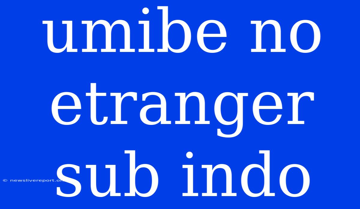 Umibe No Etranger Sub Indo